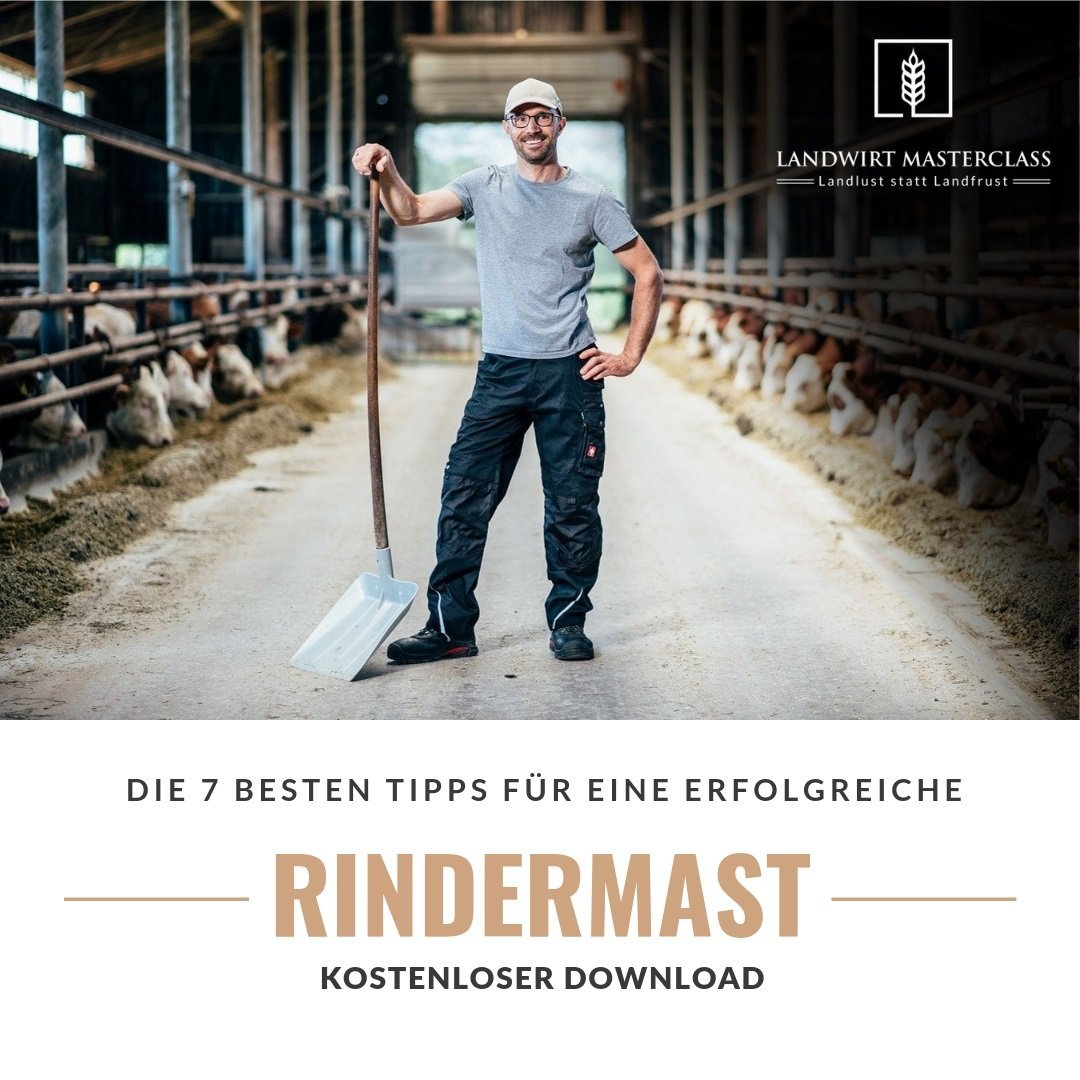 Rindermast Tipps