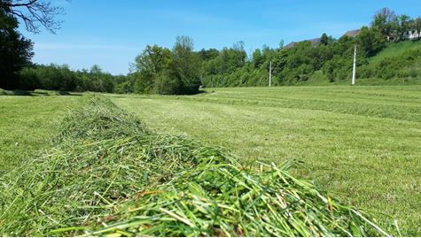 25_2_Bestes Grundfutter