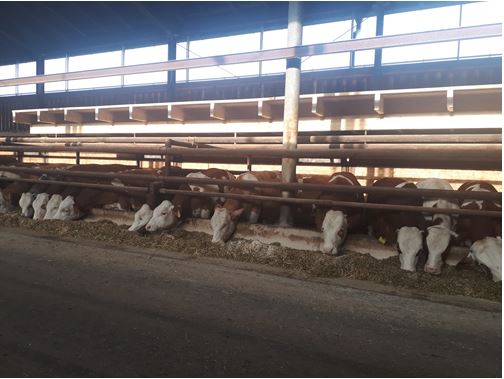 60_1_kälteunempfindlich