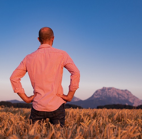 Förderungen Landwirtschaft Förderungen Landwirtschaft